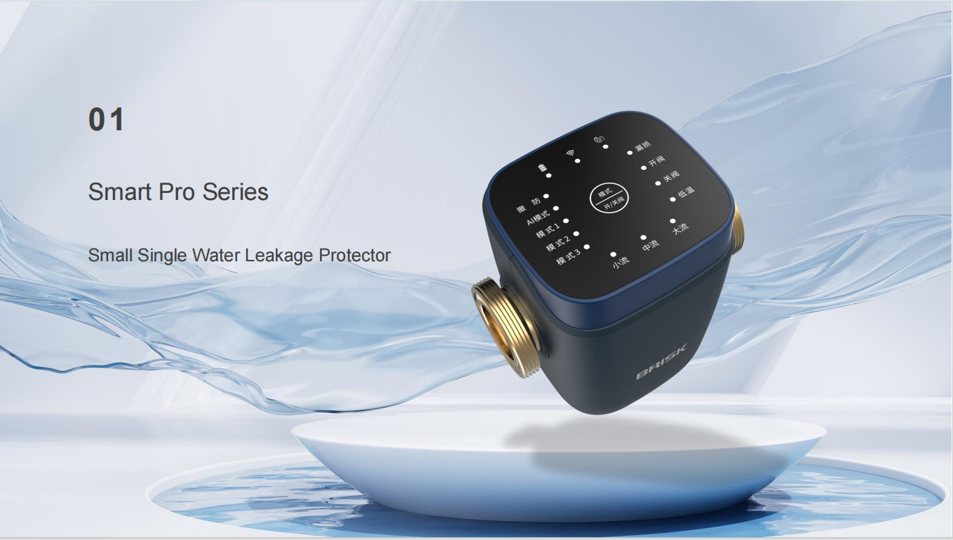 Kleiner einzelner Wasserleckschutz