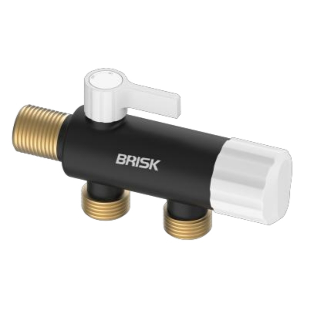 Winkelventiltyp -Skala -Inhibitorfilter